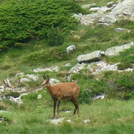 2 Pièces Pour 4 Personnes Au Centre De - Fr-1-234-139 *