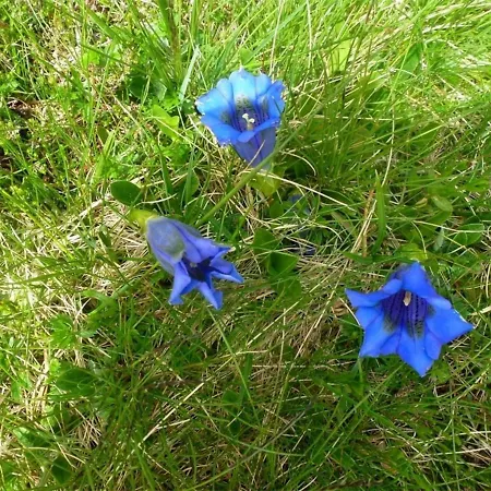 Appartement 2 Pièces Pour 4 Personnes Au Centre De - Fr-1-234-139 Cauterets