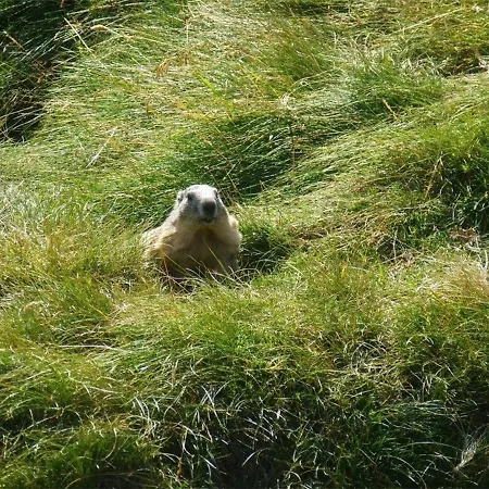 2 Pièces Pour 4 Personnes Au Centre De - Fr-1-234-139