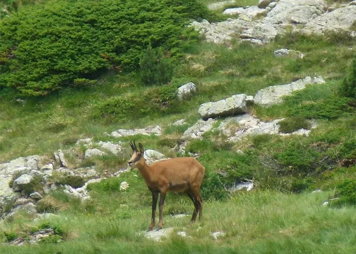 2 Pieces 4 Pers | Centre - Fr-1-234-139 *