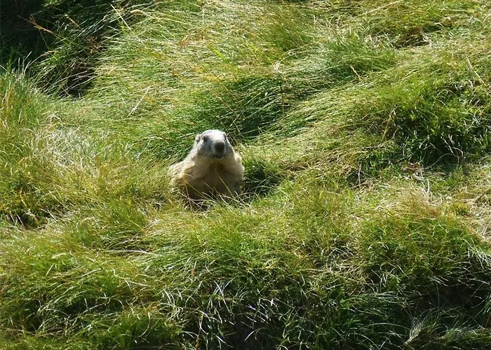 2 Pieces 4 Pers | Centre - Fr-1-234-139