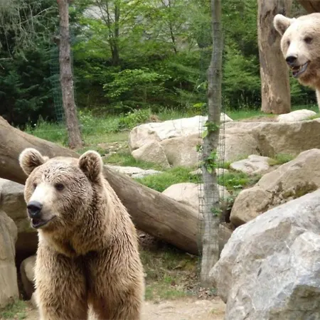 Apartament 2 Pieces 4 Pers | Centre - Fr-1-234-139 Cauterets